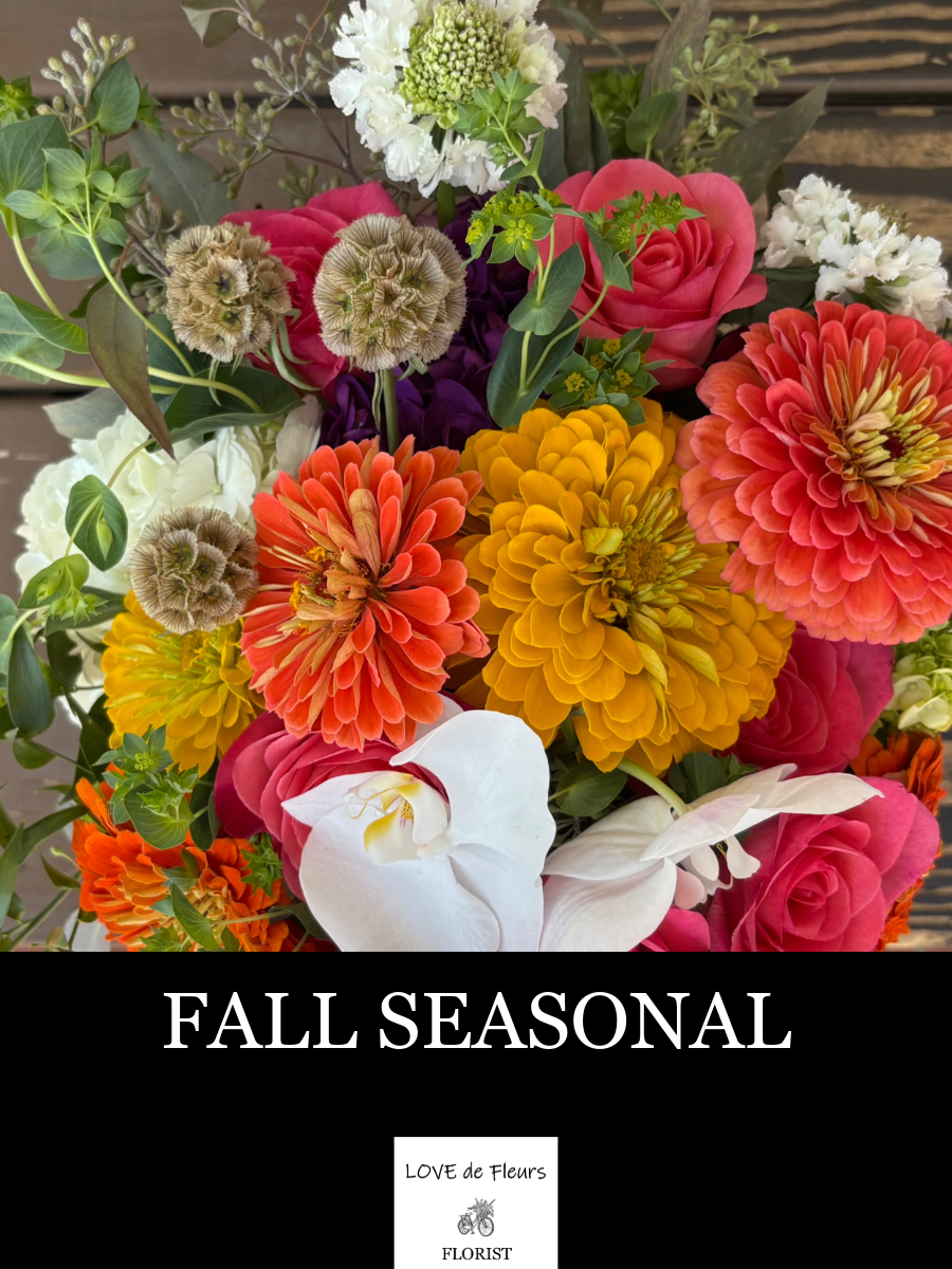 FALL SEASONAL 001