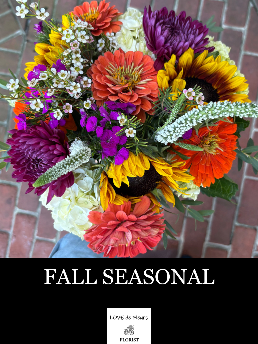 FALL SEASONAL 004