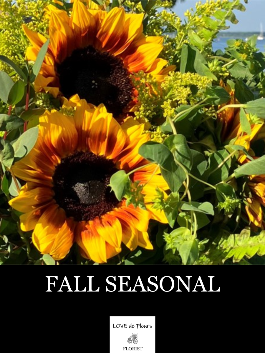 FALL SEASONAL 005