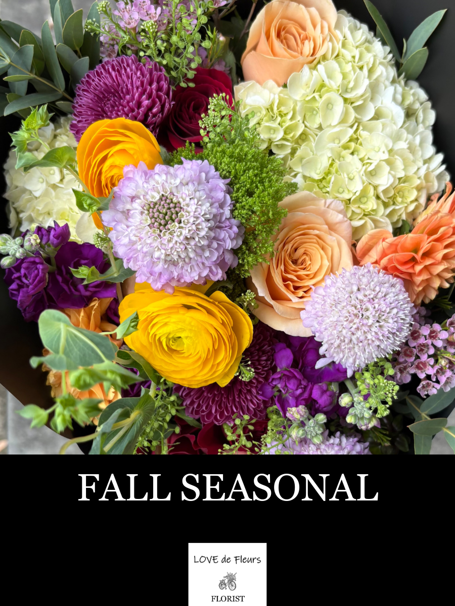 FALL SEASONAL 002