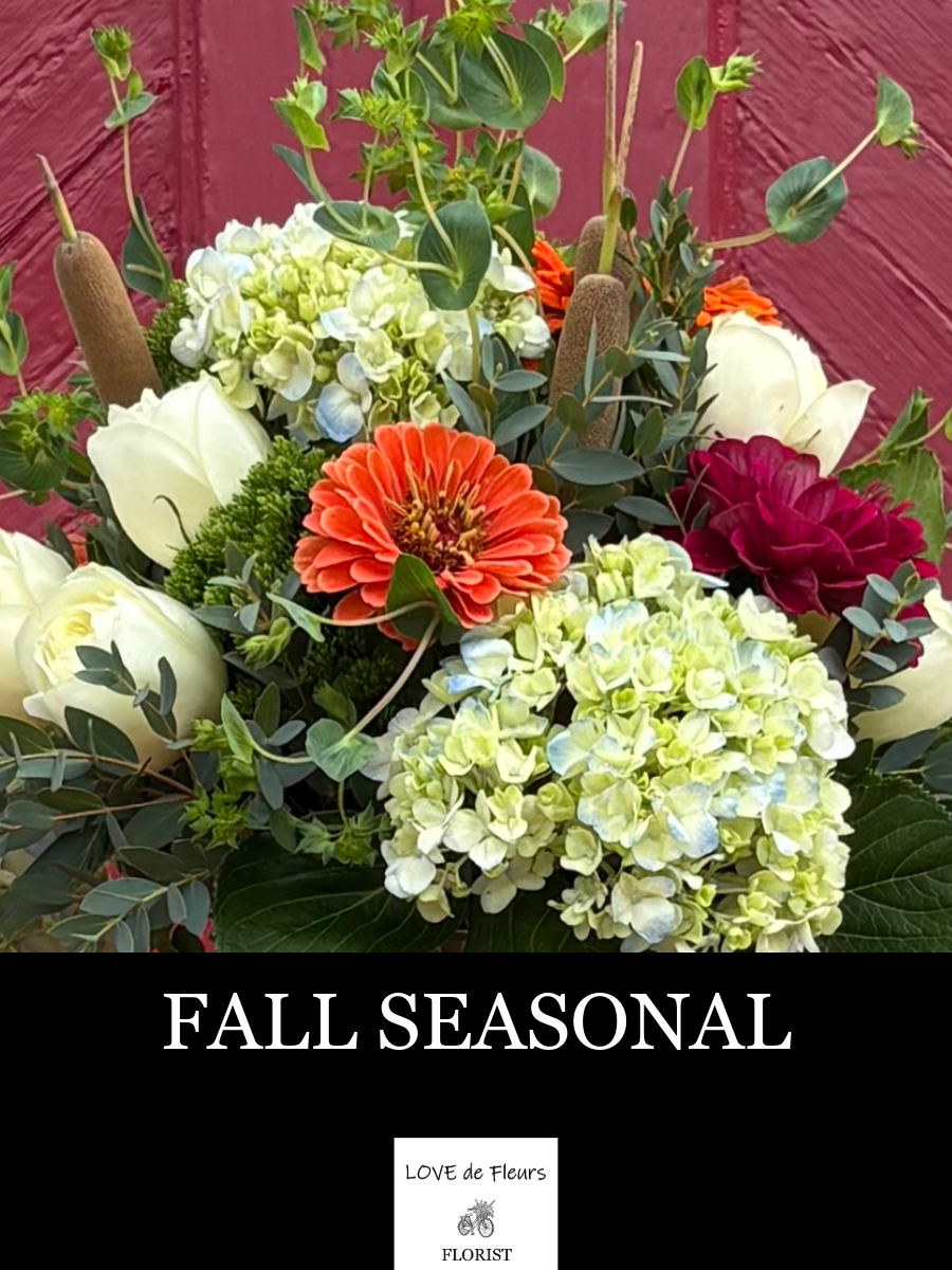 FALL SEASONAL 006